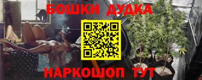 соль ск Будённовск
