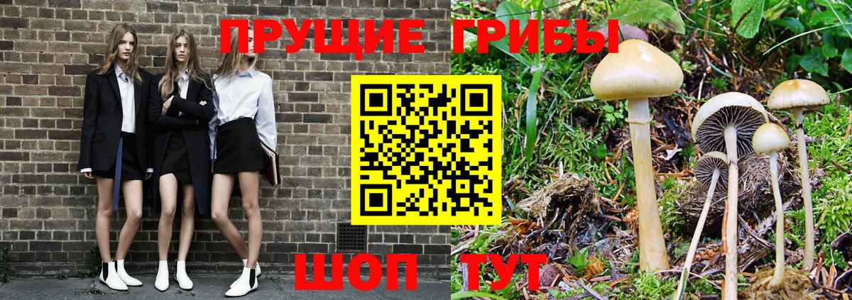 Псилоцибиновые грибы мухоморы Чебаркуль