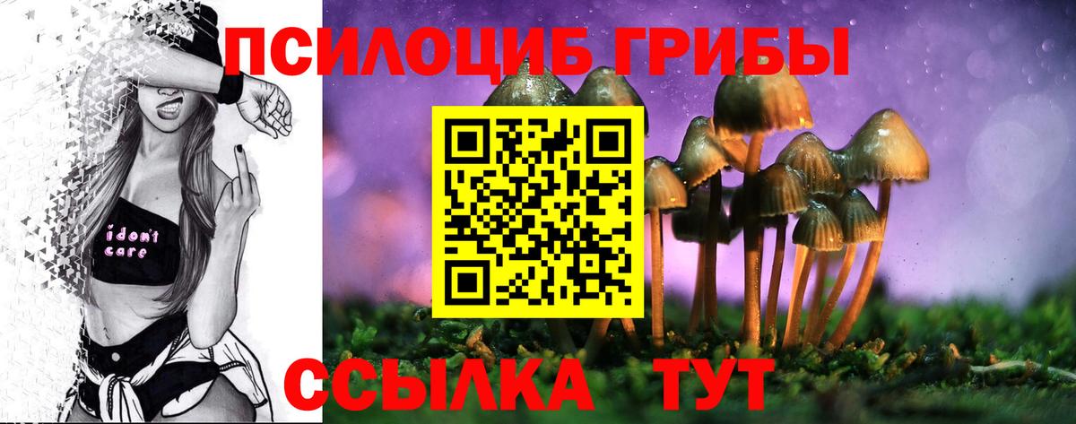 Чебаркуль  Галлюциногенные грибы GOLDEN TEACHER  Галлюциногенные грибы Psilocybe  Вход с VPN 